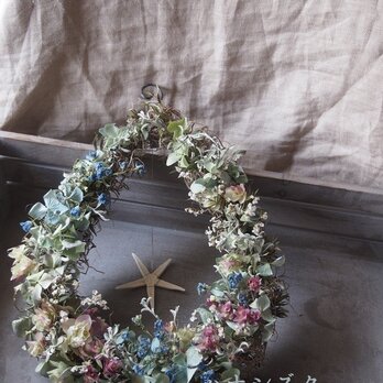 スターフィッシュのシズクリース＊