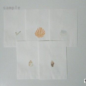 紙バッグセット　〈SHELLS－2〉の画像