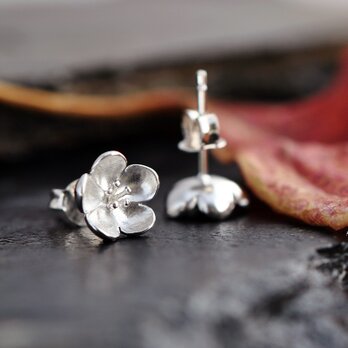 【藝圃】梅の花－シルバーピアスに