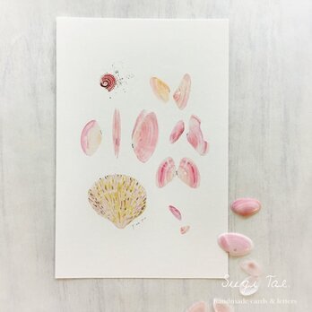海がくれたもの　〜桜貝のかたちの画像