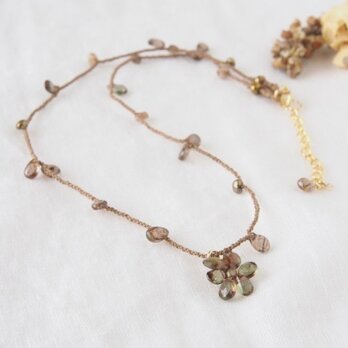 Flor del pleochroism