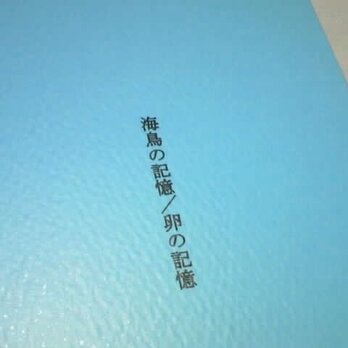 詩集『海鳥の記憶／卵の記憶』の画像