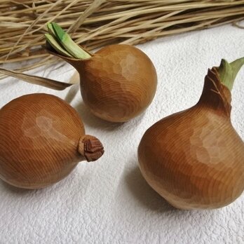 春の予感・小玉ねぎ（Ａ）