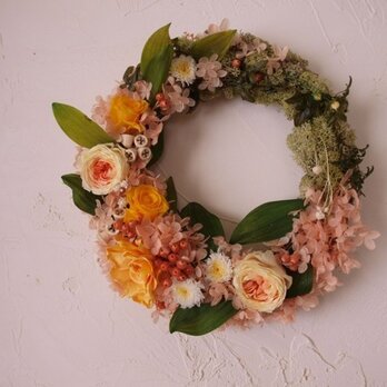 ビタミンオレンジのリース