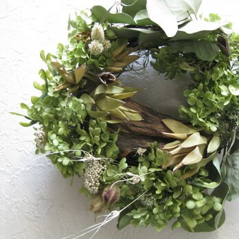 summer-green-wreathの画像