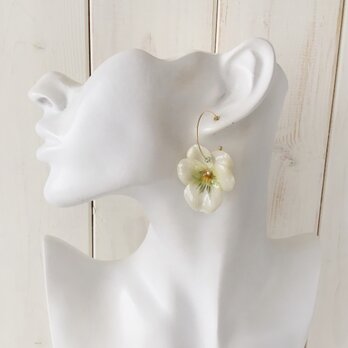 染め花を樹脂加工したビオラのフープピアス(M・ホワイト×グリーン)の画像