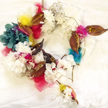 parrot wreathの画像