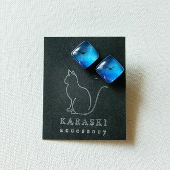 シカクピアス13/鳥