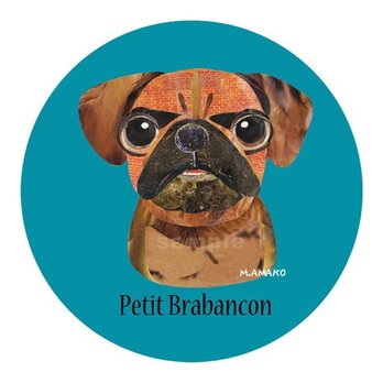 プチ ブラバンソン《犬種名ステッカー/小型犬》の画像