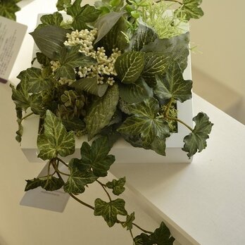 Interior Art flower&green M/Wの画像