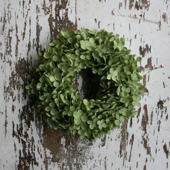 アナベルのシンプルミニリース