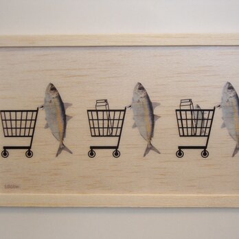shopping fishの画像