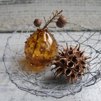 ＊木の実を集めに出かけましょう〜(２）