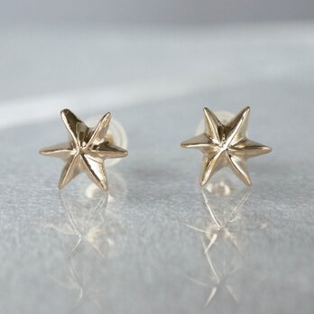 K10 Star Earringsの画像