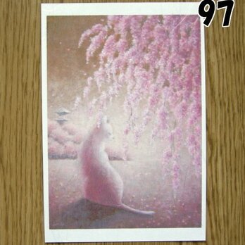猫の和風ポストカード１　選べる3枚セットの画像