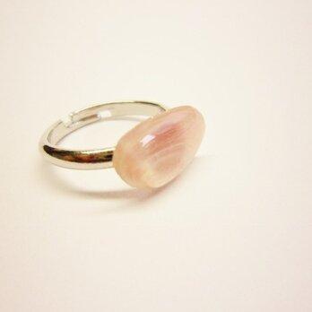 桜貝　Ringの画像