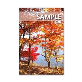 1174) 紅葉の美しい榛名山、榛名湖風景 　ポストカード5枚組の画像