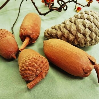 山の「木の実」の仲間たち