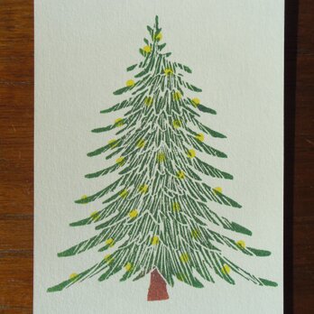 ポストカード(2枚）モミの木の画像