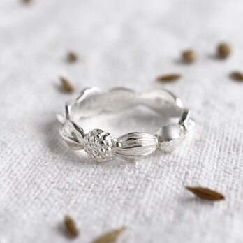 Mix seed ring [R045SV]の画像