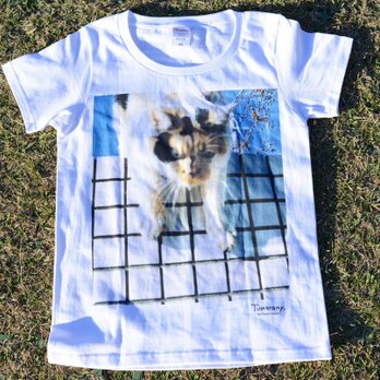 ぼけた猫写真のTシャツの画像