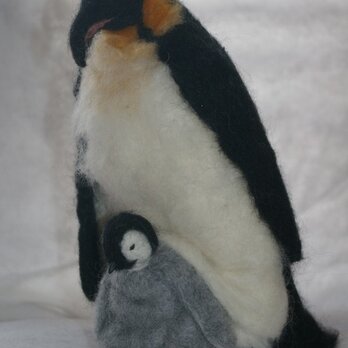 コウテイペンギン親子の画像