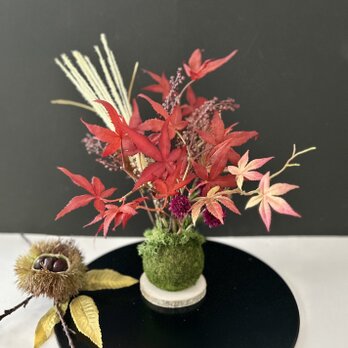 苔玉フラワーアレンジ「受注制作」