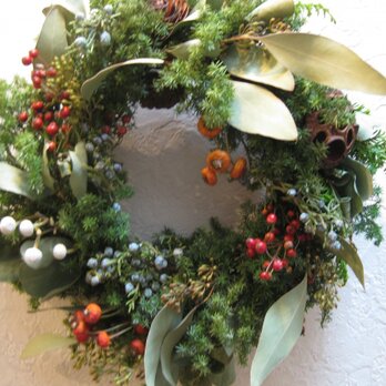 ユーカリポポラスのXmas-wreathの画像