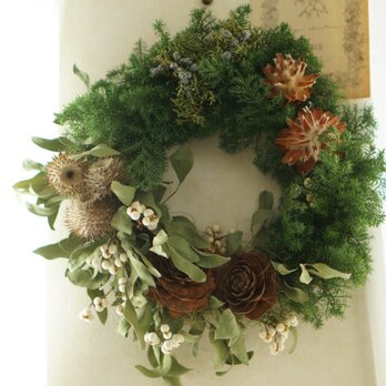 fresh　wreath(large）の画像