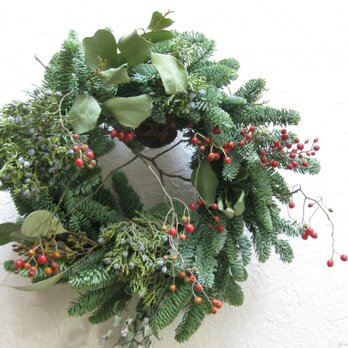 野バラの枝のXmas-wreathの画像