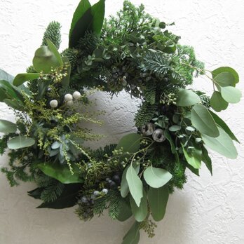 fresh green-Xmas wreathの画像