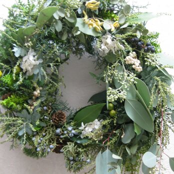 green Xmas wreath-whiteの画像