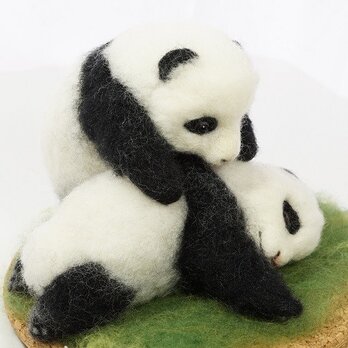 twin pandasの画像