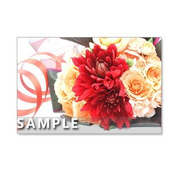 1027）魅力的な赤い花・華・はな・HANA　　　　　5枚組ポストカードの画像