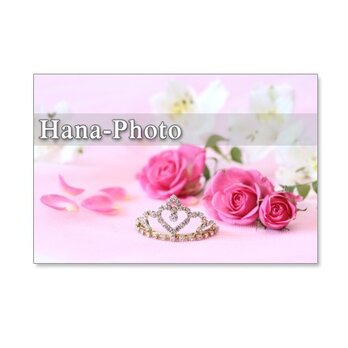 1028）「美しい赤のバラとピンクのバラ」　　5枚組ポストカードの画像