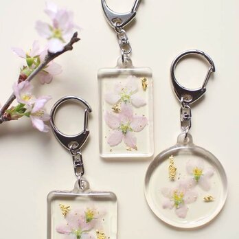 日本の花はやっぱり桜！啓翁桜の押し花キーホルダー （長方形）の画像