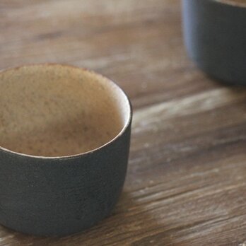 S-66　ツートンカップ