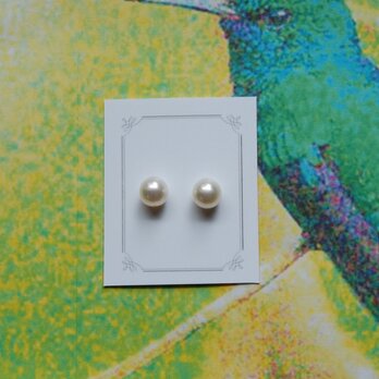 真珠（7.5ミリサイズ）n.11の画像