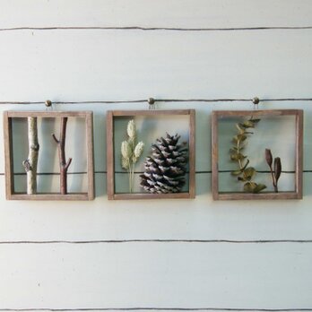 ﾄﾞﾗｲﾌﾗﾜｰﾊﾟﾈﾙ　Z-164