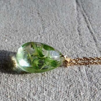 Botanical jewelry ハナイカリinクォーツ　ネックレスの画像