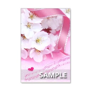 1038）「ピンクのキュートな花たち」　　5枚組ポストカードの画像