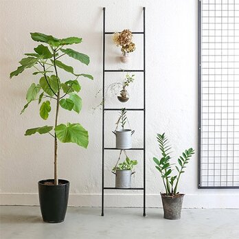 ディスプレイアイアンラダー異形鉄筋 / はしご