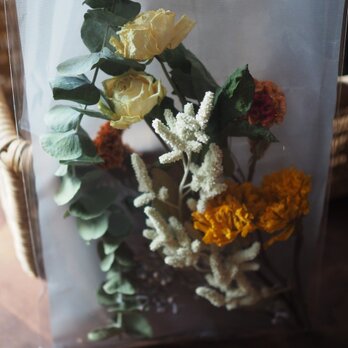 ドライフラワーの詰め合わせ　ｗ