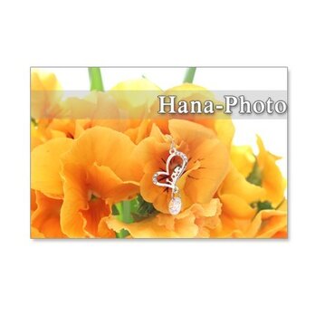 1047）可愛いオレンジ色のパンジー　5枚組ポストカードの画像