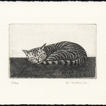 お昼寝の猫 / 銅版画 (作品のみ）の画像