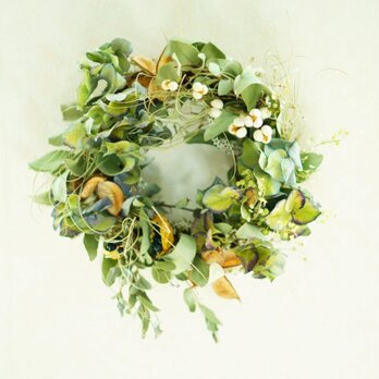 green　spring　wreath 　20㎝の画像
