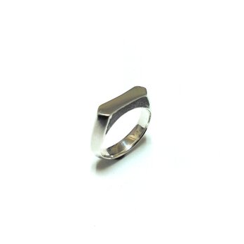 Faceted Ringの画像
