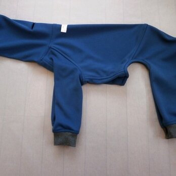 犬服　[受注生産]ウィペット用フルスーツ　アースカラー青の画像