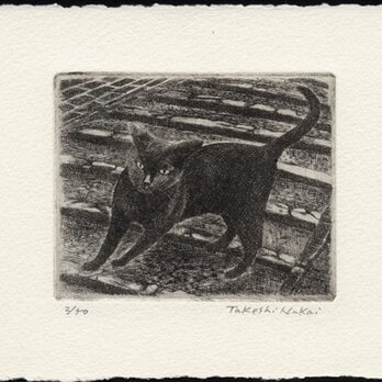 坂道の黒い猫 / 銅版画 (作品のみ）の画像