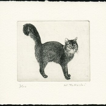 シッポの大きな猫 / 銅版画 (作品のみ）の画像
